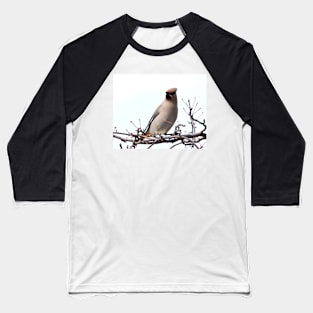 Bohemian Waxwing. Baseball T-Shirt